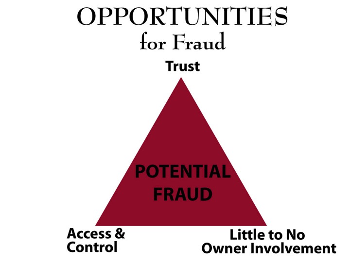 Opportunities for Fraud